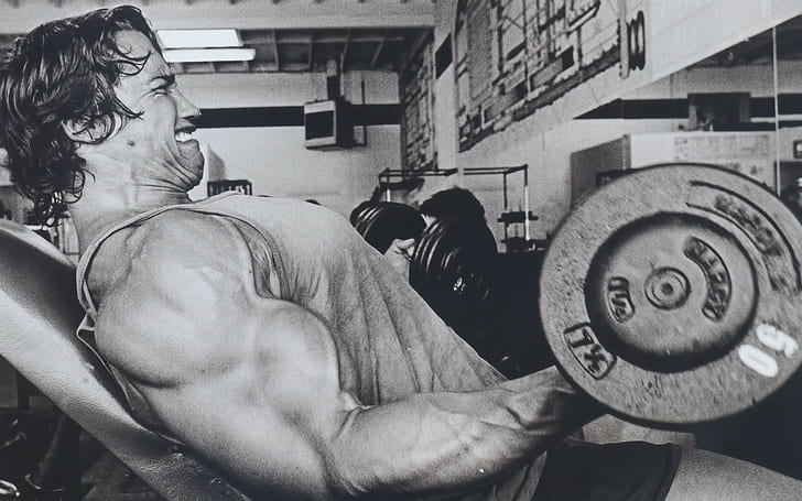 working out, Bodybuilder, Arnold Schwarzenegger, weightlifting, HD wallpaper