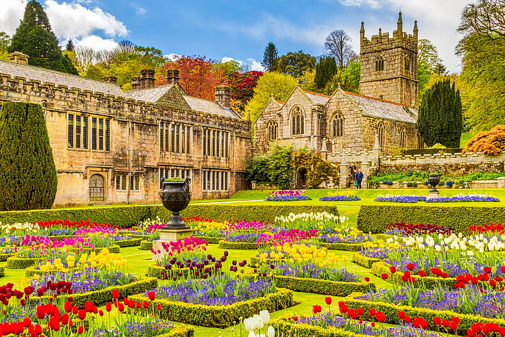 flowers, England, garden, Church, mansion, Cornwall, St Hydroc Church