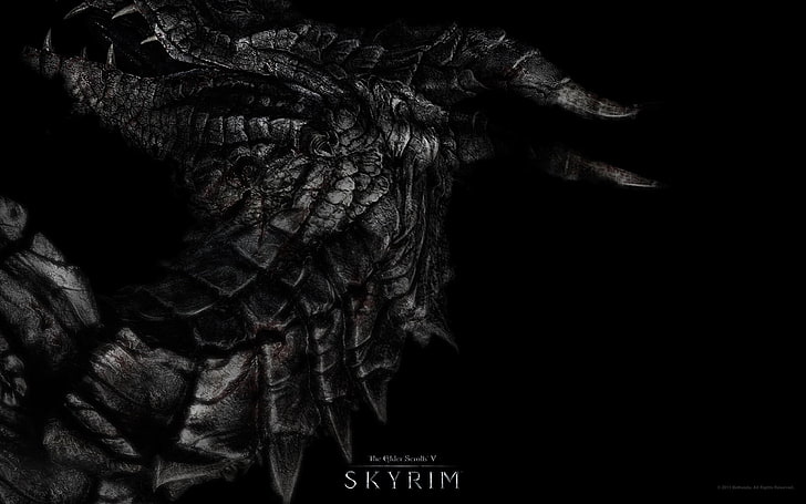 The Elder Scrolls V Skyrim poster, dragon, black Color, anatomy