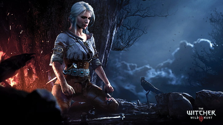 The Witcher Wild Hunt wallpaper, video games, The Witcher 3: Wild Hunt, HD wallpaper