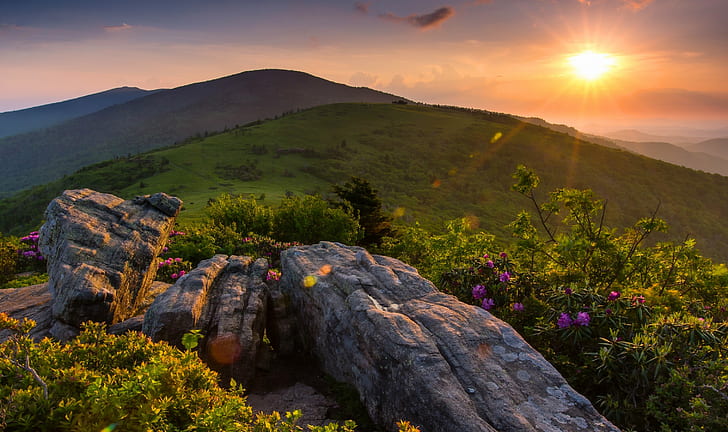 Roan Mountain, Appalachian Mountains, Tennessee, rock formation, HD wallpaper
