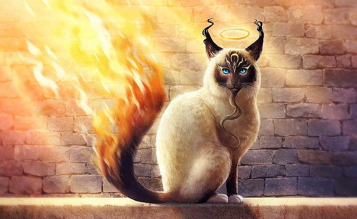 cat, animals, artwork, fire, HD wallpaper