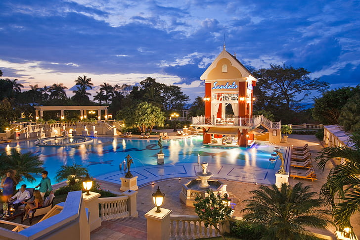 ocean, swimming pool, green palm tree, evening, palm trees, luxury