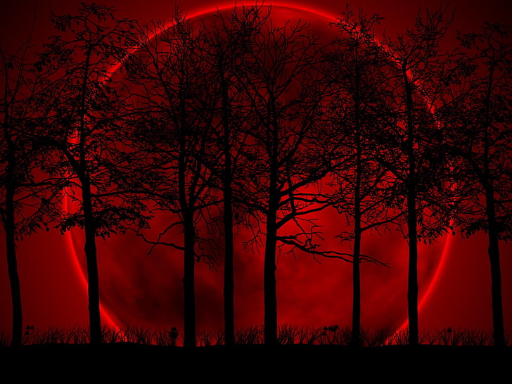 red blood moon digital art, trees, sky, eclipse, night, nature