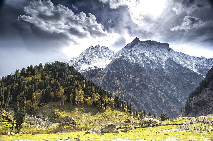 fall, mountains, forest, clouds, snowy peak, trees, Kashmir, HD wallpaper