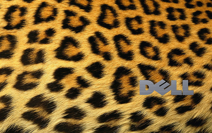 Dell, cheetahs, pattern, logo, animal, no people, animal themes, HD wallpaper