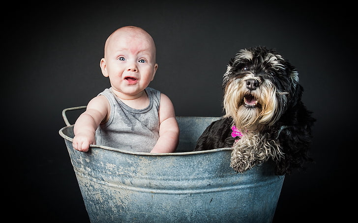 baby's gray onesie, child, dog, entertainment, cute, pets, small