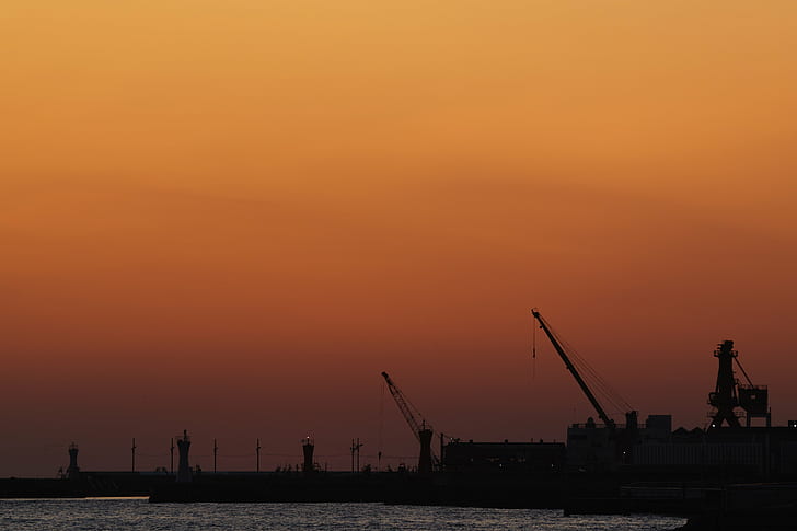 silhouette with sunrise, Spring, Dusk, city, town, sky, bird