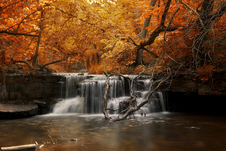 Autumn waterfall and river, forest, HD wallpaper