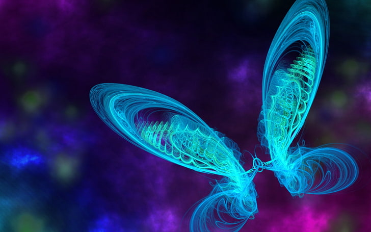 blue and green butterfly wings wallpaper, line, background, light, HD wallpaper