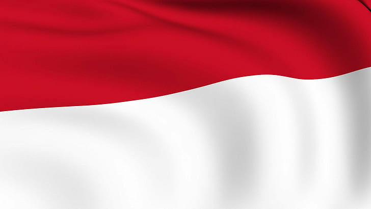 flag, flags, indonesia, indonesian