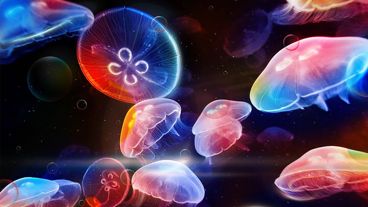 assorted-color jellyfish wallpaper, Jelly Fish, sea, underwater