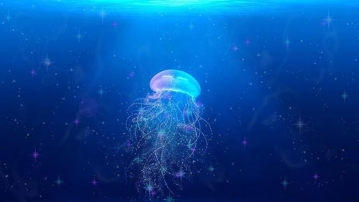 Jellyfish, underwater, luminos, medusa, ocean, sea, vara, summer, HD wallpaper