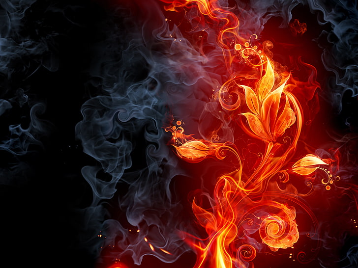 black, grey, and orange fiery vector art, flower, fire, smoke, HD wallpaper