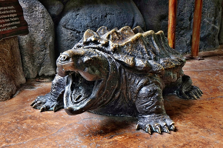 alligator snapping turtle, sculpture, representation, statue, HD wallpaper