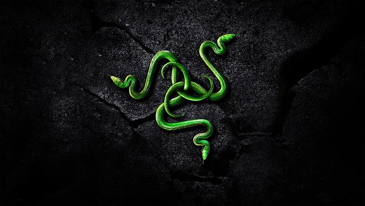 Razer Inc., logo, green color, indoors, black background, no people