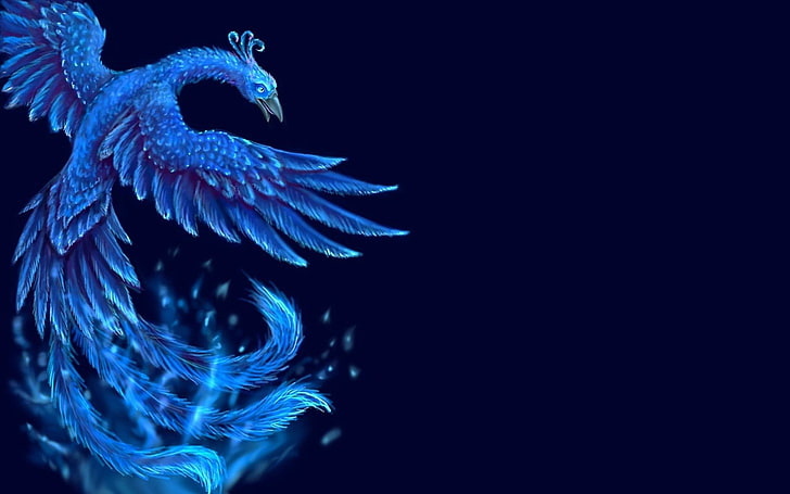 Fantasy Animals, Phoenix, Artistic, Bird, Blue, copy space, HD wallpaper