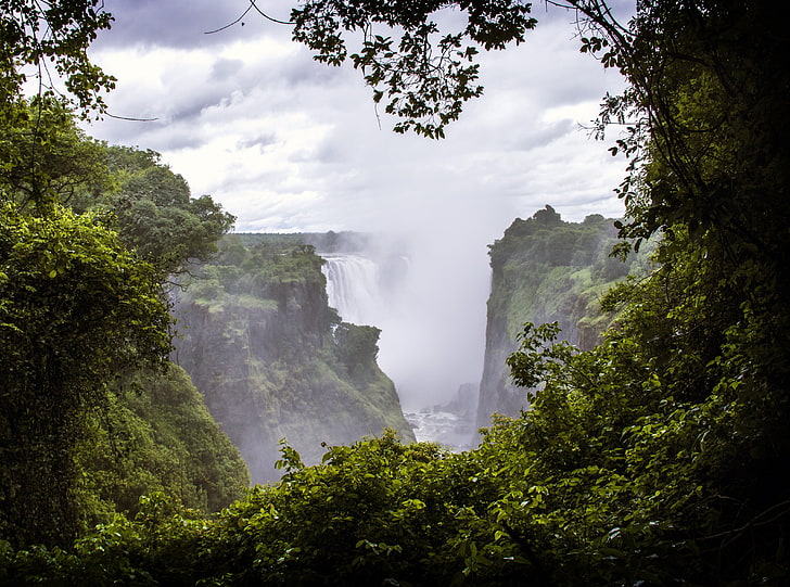Victoria Falls, Zimbabwe, green leafed tree, Travel, Africa, Nature