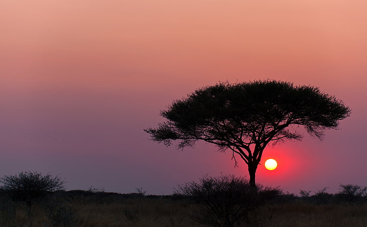 Etosha National Park Namibia, Travel, Africa, Nature, Landscape, HD wallpaper