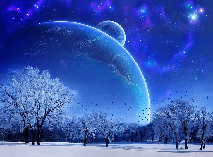 field of trees and planet wallpaper, stars, galaxy, snow, space art