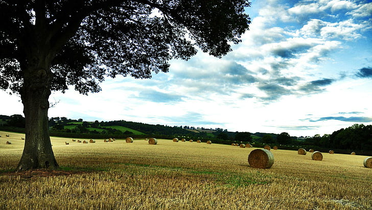 Hay bales on the hill, grassfield during day time, nature, 1920x1080