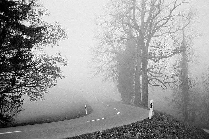 asphalt road in between trees with fog grayscale photo, ilford, ilford