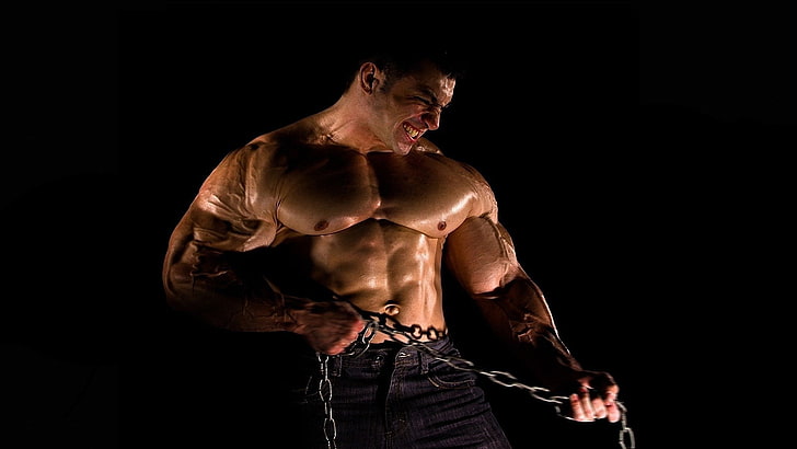 bodybuilding  desktop, muscular build, healthy lifestyle, strength, HD wallpaper