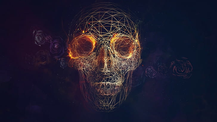 wireframe cgi skull fire rose vectors lines blue background, HD wallpaper