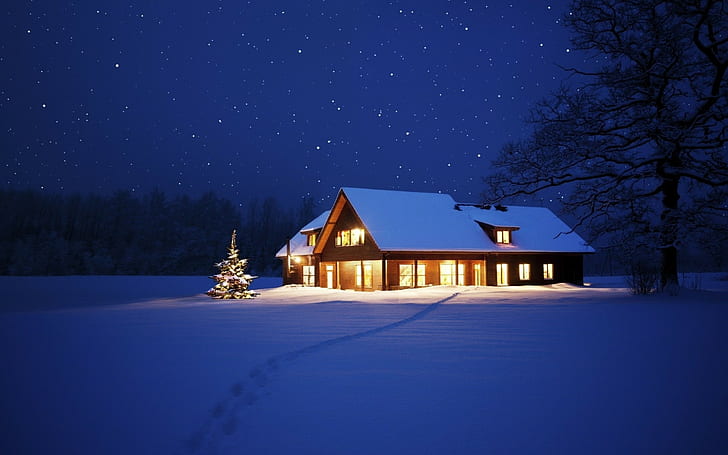 nature, cabin, winter, snow, night
