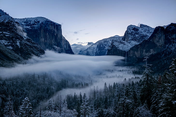 foggy forest and mountain, yosemite, yosemite, Tunnel View, snowy