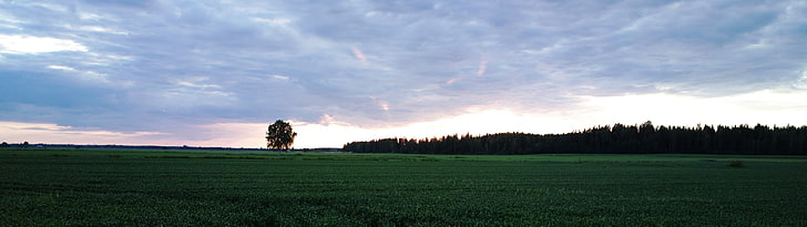 green grass field, landscape, nature, multiple display, Finland, HD wallpaper