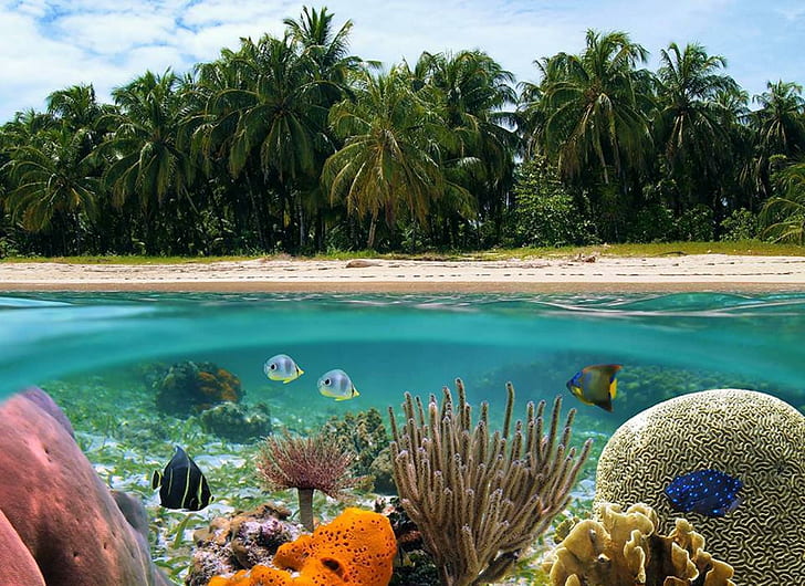 Under the Reef, sand, dive, fish, island, marine, atoll, snorkel, HD wallpaper
