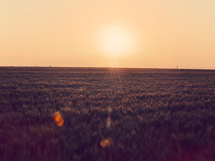 clear sky, sunset, lens flare, farm, photography, field, sunlight, HD wallpaper