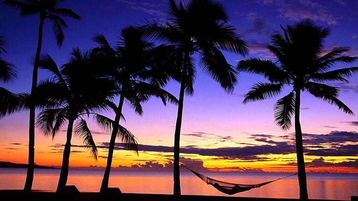 beach, hammock, palm tree, sea, sunset, tropical climate, water, HD wallpaper