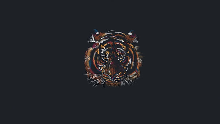 Animal, Artistic, Minimalist, Tiger, HD wallpaper