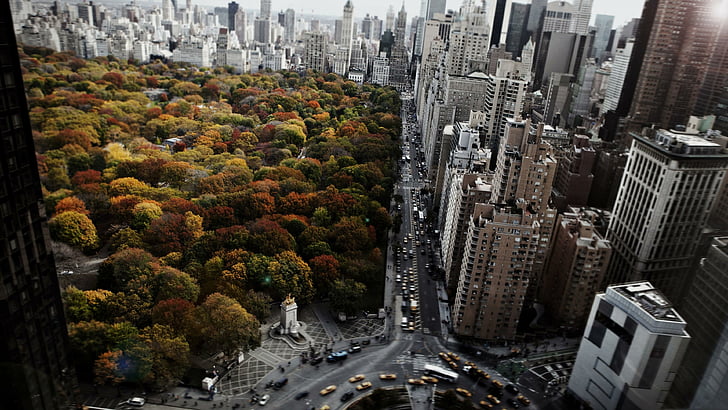 street, cars, trees, city, sky, new york, ny, ultrahd, HD wallpaper