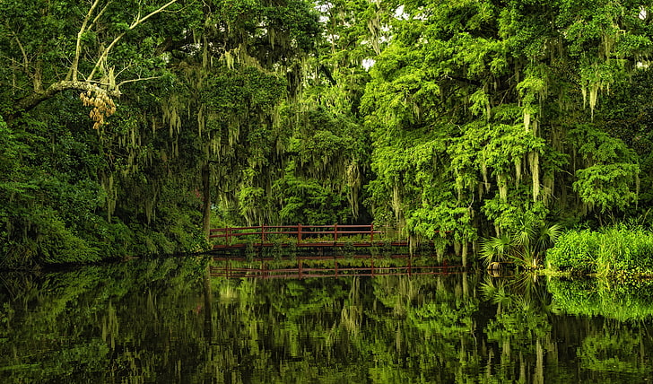 body of water and trees, bridge, reflection, South Carolina, Charleston, HD wallpaper
