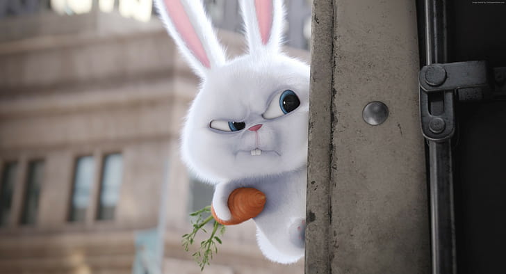 Cute Bunny Rabbit Cartoon Pics HD wallpaper  Pxfuel