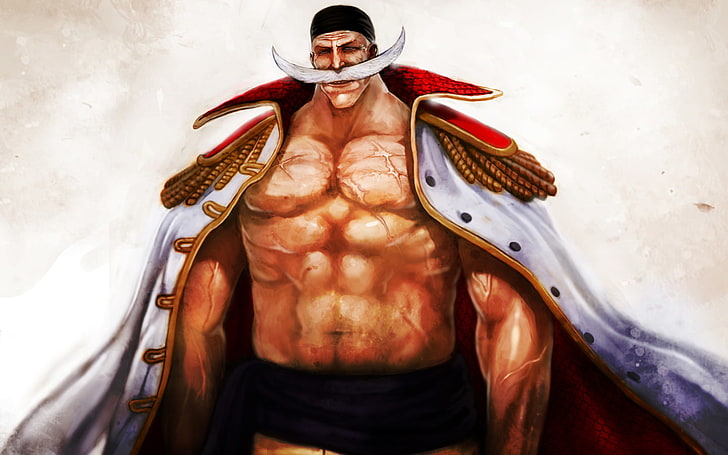 HD wallpaper: anime, One Piece, Whitebeard, muscular build, front view, one  person | Wallpaper Flare