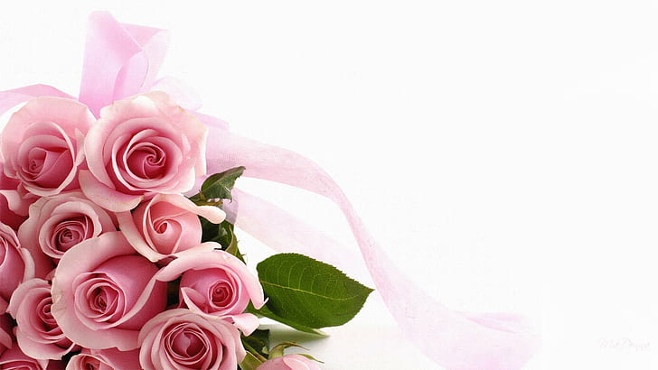 Pink Roses Forever, firefox persona, ribbon, bouquet, valentines day, HD wallpaper