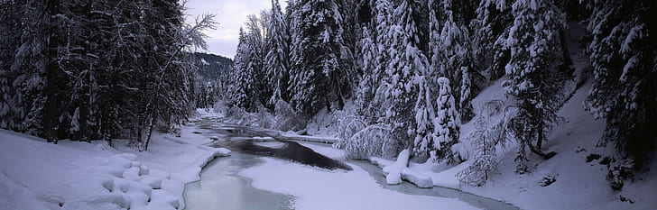 landscape, ice, river, snow, forest, nature