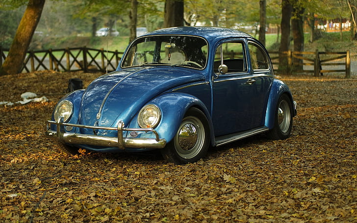 car, park, leaves, autumn, classic, oldtimer, beetle, volkswagen