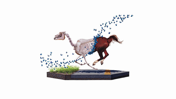 horse skeleton illustration, white background, digital art, animals, HD wallpaper