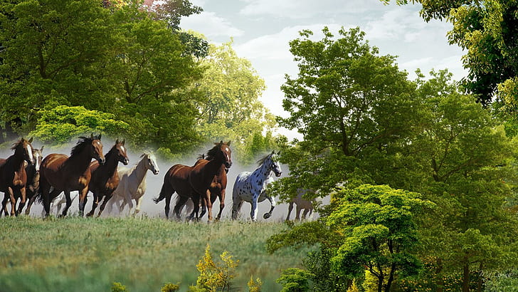 HD wallpaper: Running Horses, trees, herd, country, field, farm, grass,  animals | Wallpaper Flare