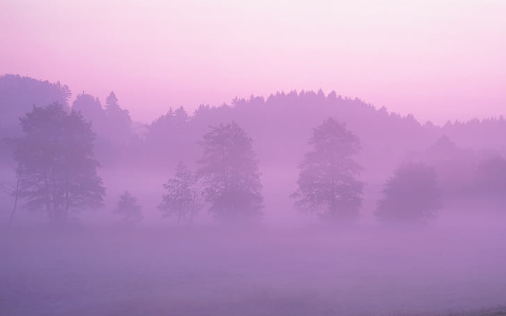 nature, mist, trees, purple sky, landscape, HD wallpaper