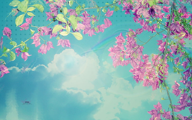 purple leaves, nature, spring, backgrounds, pink Color, leaf, HD wallpaper