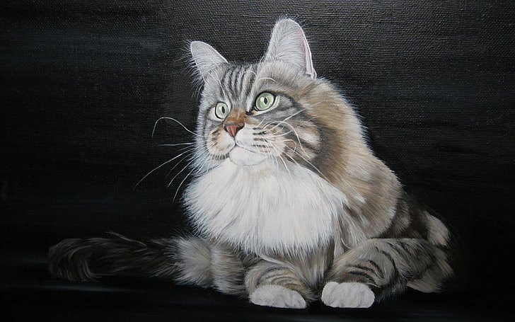 cat, simple background, digital art, pets, domestic, domestic animals, HD wallpaper