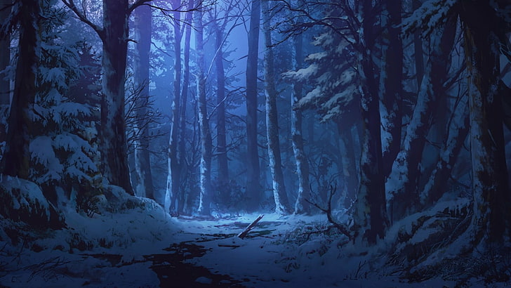 nature, forest, winter, twilight, night, woodland, snow, darkness
