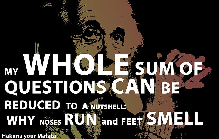 My Whole Sum of Questions can be reduced to a nutshell: why noses run and feet smell text, HD wallpaper