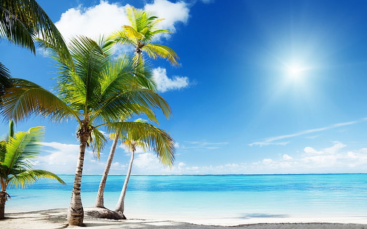 Tropical beach paradise sunshine-Summer Scenery HD.., water, tropical climate, HD wallpaper